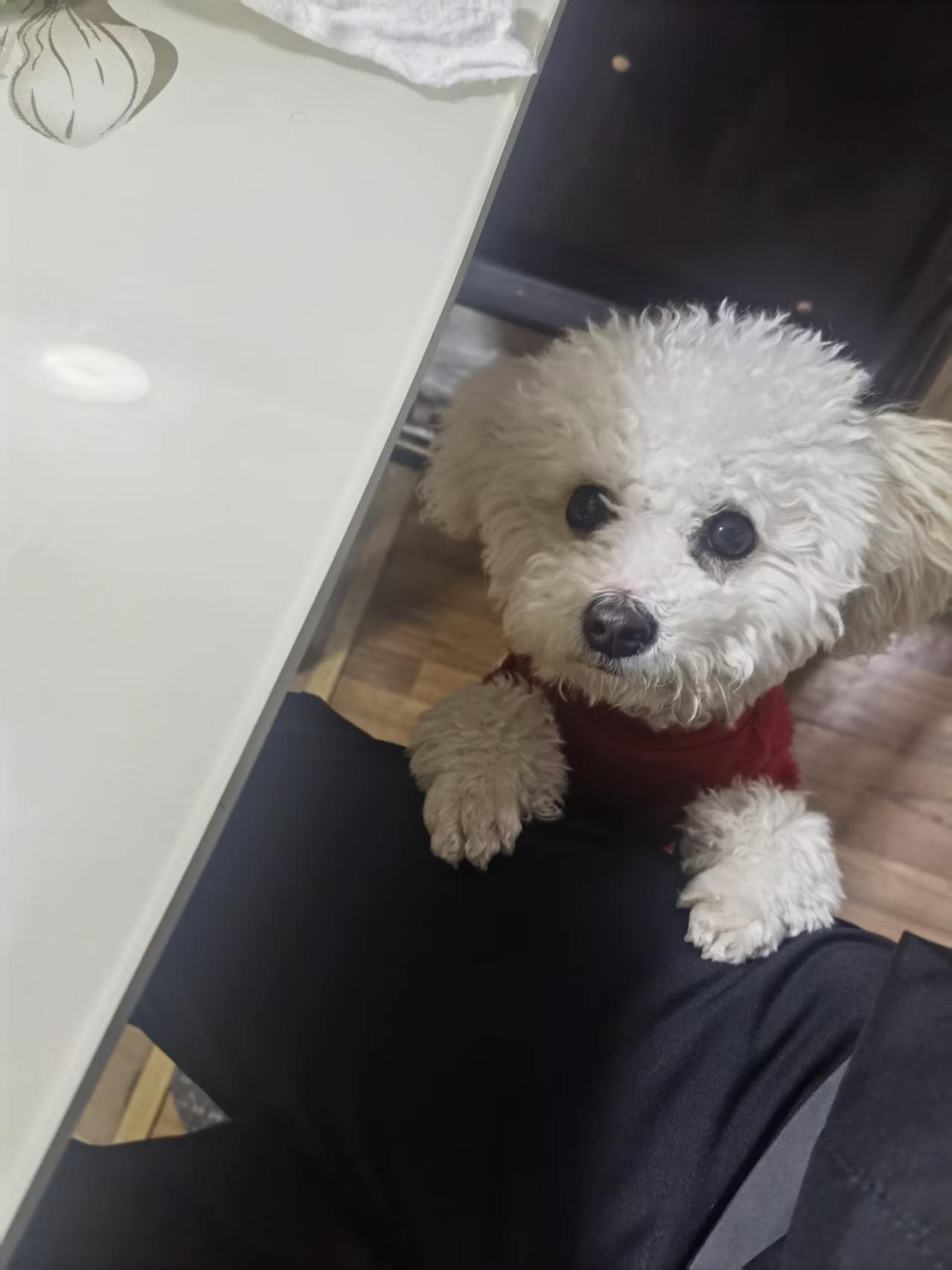 微信图片 20260723172733 35 131